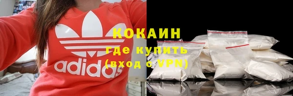 мдпв Пестово